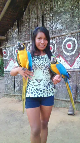 Lembrança do meu aniversário 22/09/2015 😁🥰❤️❤️🦜🏹🏹#CapCut #jūgoanotiktok #indígenass #culturaindígena #fy 