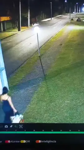 O fato aconteceu em CURITIBA/PR na  Rua Augusto David de Morães esquina com Rua Zacarias Gomes de Souza Uberaba Próximo ao armazem da família!#abandonodeanimais #justiça #uberabacuritiba #abandonoanimal💔 #esporiotricose 