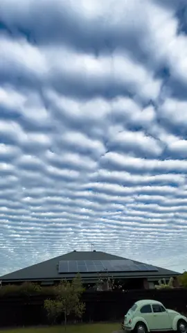 You won’t believe how perfect this sky lined up… 🌫️✨ Watch till the end. #skywaves #cloudpattern #altocumulus #fypシ #viralvideo #natureflex #heavenlysky #visualheaven #tiktoksky #earthvibes #aestheticvibes #watchtillend #cloudsarecool #raresky#EmClimaUltraLeve 