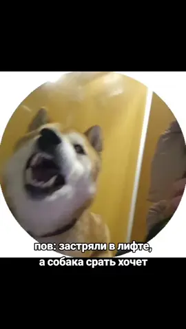 #fup #fup #переписка 