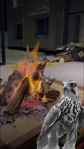 #أكسبلور_شعر_حكم_خواطر 