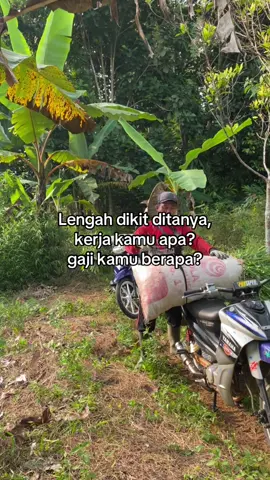 Cuma tukang ngarit🙏🏻#sobatngarit #peternakmuda #ngarit 