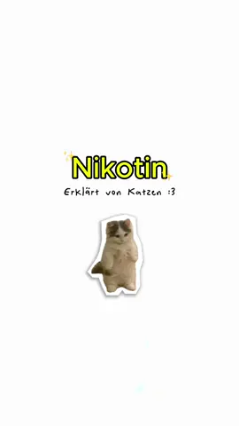 Nikotin - erklärt von Katzen :3 #katzen #katzenvideos #erklärtvonkatzen #wissen 