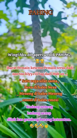#fyp #video #sinematik #trending #xbcyza #wetonjawa #tren2025 #fypシ゚viral🖤tiktok 