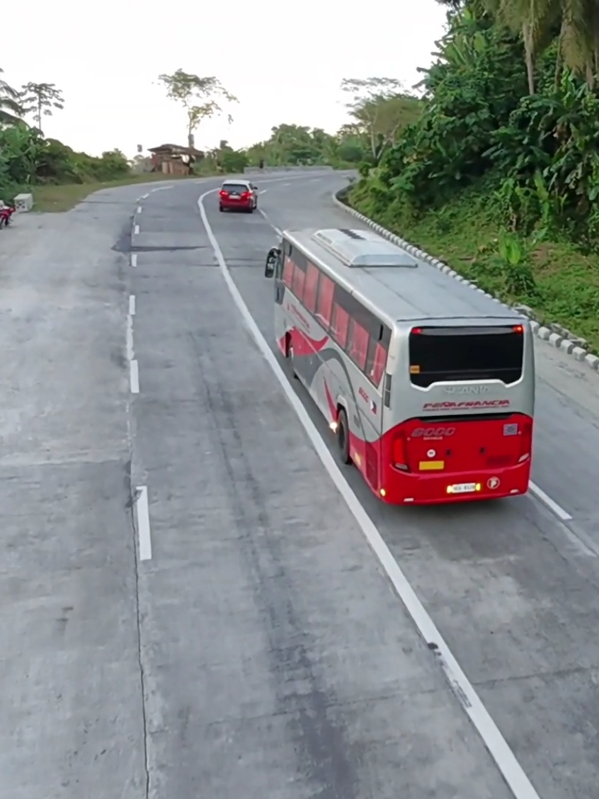 Penafrancia Tours & Travel Transport Inc. 8000 SCANIA 📍Gumaca Bypass Road 📹Jul/31/2025