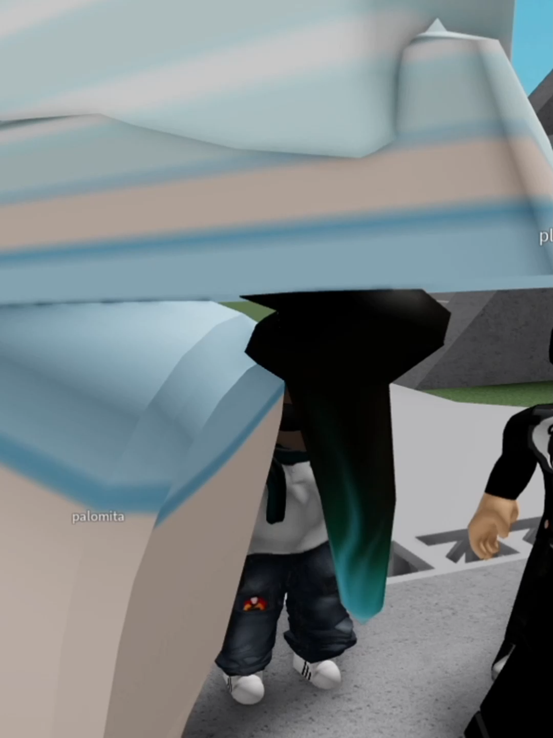 bities #fyp #fypシ #paratii #paratiii #micup #robloxfyp #ragdoll #argentina