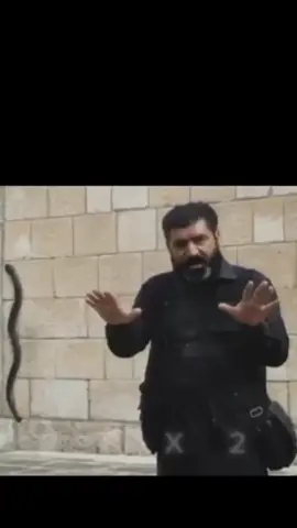 طاوسي ملك حقي ما ايزديا اش وان كافرا ببي#زاروكك٢سالي😭😭 #ايزدخان #لالش_جنة_الأرض_لالش_يحفظكم_ايزيدخان #لايك#ايزدي 