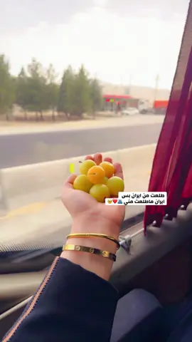 #سفره_ايران #ايران #لولو🦋🦋🇮🇶 #ايران_مشهد #مالي_خلق_احط_هاشتاقات🧢 