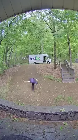 Sniper.  #fedexdriver #fedex #comedy #slipandfall 