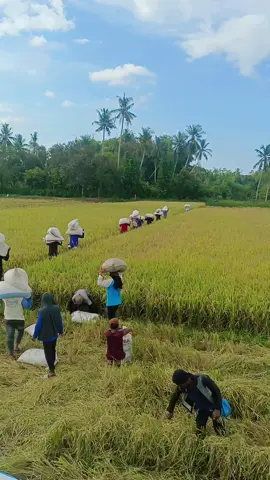 meu 🔥 awak pok pade😁😁😁🤣#promoseruweekend #SQUADBIRUGROUP #perintismuda #fypシ゚viral #petanimuda🌾 #babahjurong @bos muda garot @🅿🆄🆃🆁🅰 ➋⓪⓪➐ @R.RENO™✓ 