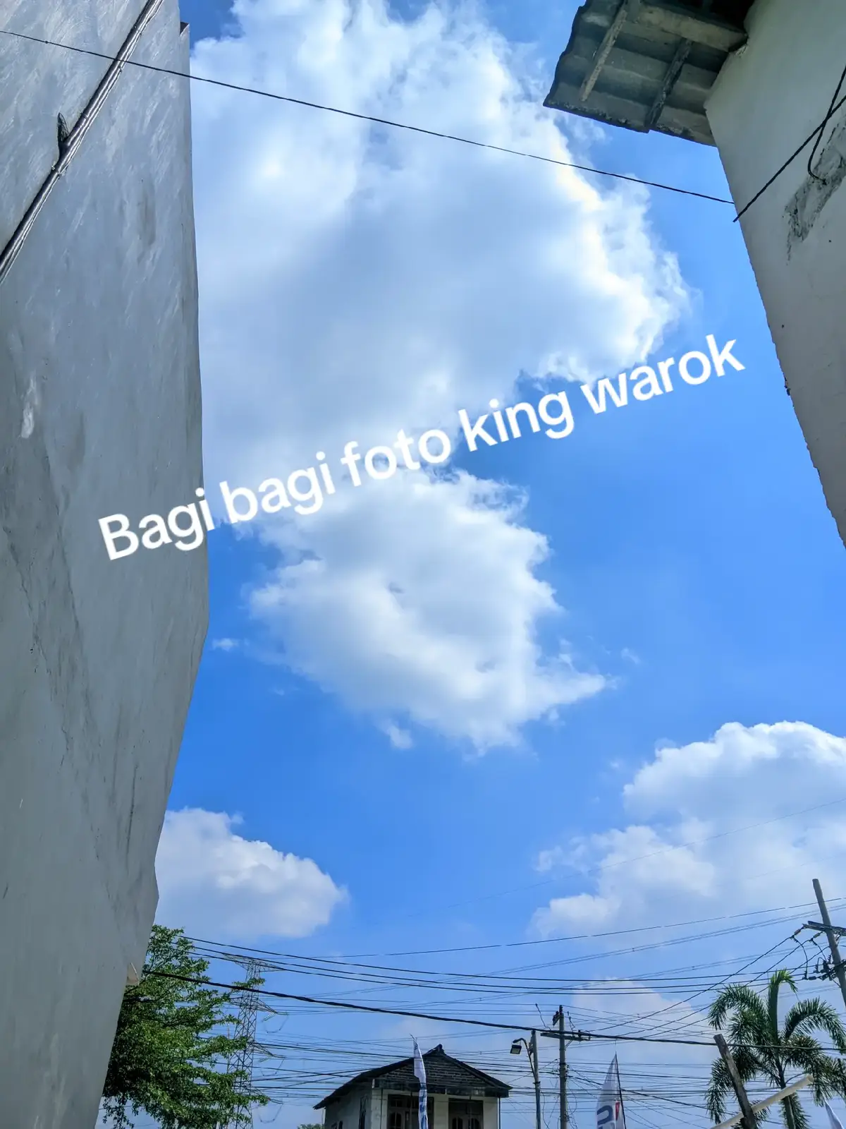 @warokkite 