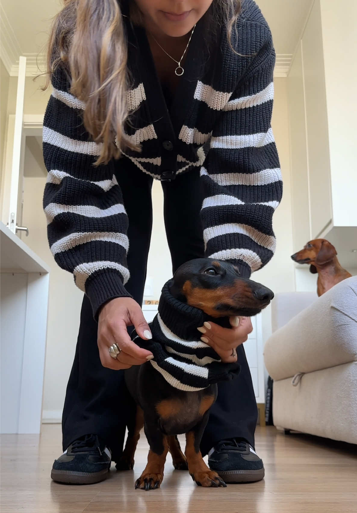 hoje foi o Ollie combinando o look com a mamãe. Ele só fica nessa paz pra botar lookinho porque sabe que vai sair 😂😂 #dachshund #dach #dachshundsoftiktok #dachshundpuppy #dachshundaddict 