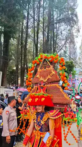 #CapCut #pesta buah bunga Berastagi tanah Karo # 
