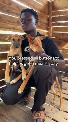 #animalsoftiktok #foryoupage 