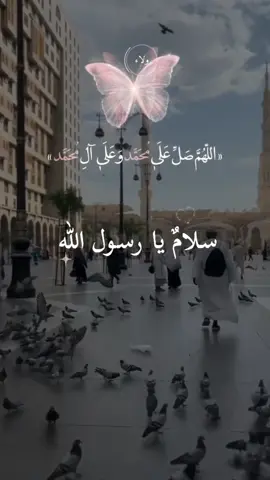 #CapCut سلامٌ يا رسول الله #اناشيد #اللهم_صل_وسلم_وبارك_على_نبينا_محمد🌹💙 #صلوات_الله_عليك_يا_حبيبي_يا_رسول_الله #♡♡ولاء♡♡ 