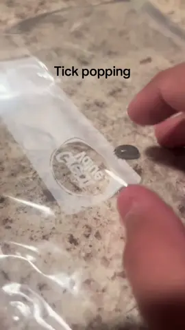 Weird but oddly satisfying#tickpoppingvideos #fyp #foryoupage #foryou #satisfying 