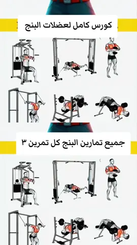 #كمال_الاجسام #الكابتن_حيدر_جابر #نزول_الوزن #لياقه_بدنية #تمارين_نسائية #صعود_الوزن #تمارين_منزلية #bodybuilding 