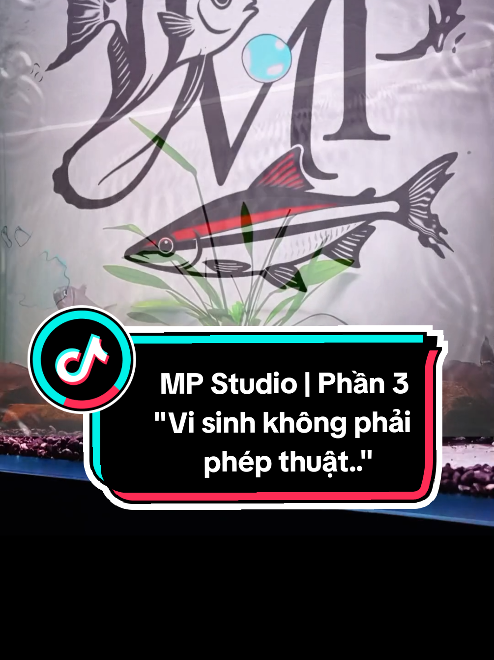 MP Studio | Phần 3 