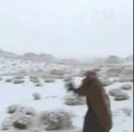 Tabuk in the winter season❄️#explore#foryou#fyp#تبوك_الورد 