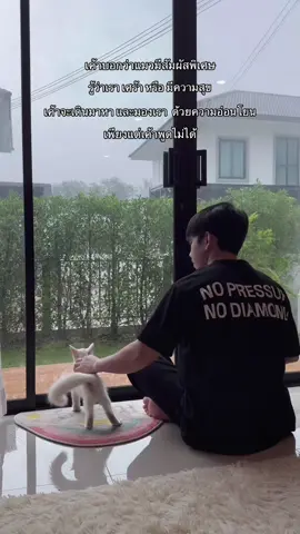 กะทิจะพูดอะไรกับป๊าหรอ#แมว #แมวกะทิ #แมวจร #แมวจรก็มีหัวใจ 