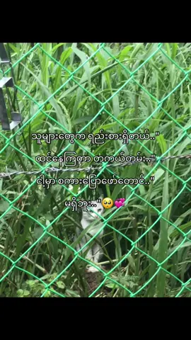 Yepp🥺#fypp #စာတို #crd #livephoto 