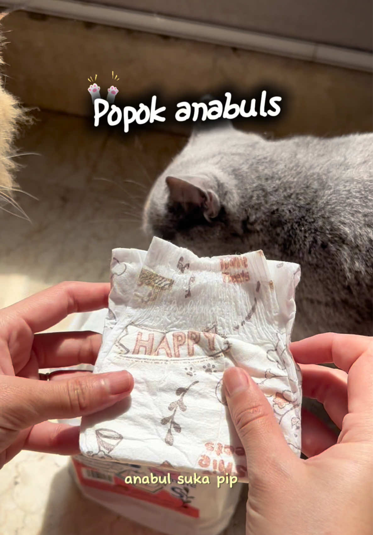 Popok anabuls buat yang sering spraying, pip sembarangan, bisa juga dipakai buat jalanjalan #popokkucing #popokanjing #petdiaper 