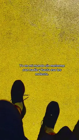 ✨