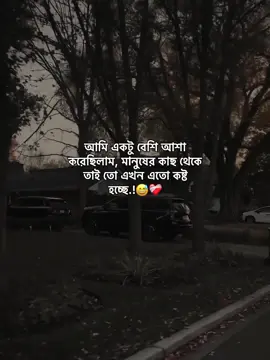 No expectation, No pain, stay happy!☺️❤️‍🩹 #status #foryoupage #unfreezemyacount #growmyaccount #afjal_780 #viralplz🙏 @TikTok @TikTok Bangladesh @tiktok creators @For You House ⍟ 