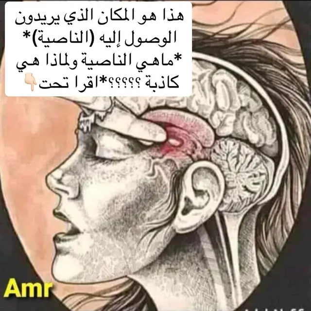 هذا هو المكان الذي يريدون الوصول إليه (الناصية)(ناصية كاذبة خاطئة)*  *ماهي الناصية ولماذا هي كاذبة ؟؟؟؟؟* *الناصية هو العضو المسؤول عن الكذب والخطأ وهو مصدر إتخاذ القرارات...فلو قطع هذا الجزء من المخ الذي يقع تحت العظمة مباشرة فإن صاحبه لا تكون له إرادة مستقلة ولا يستطيع أن يختار ولأنها مكان الإختيار قال الله تعالى: