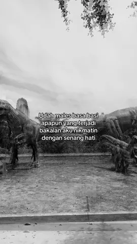 #tren 