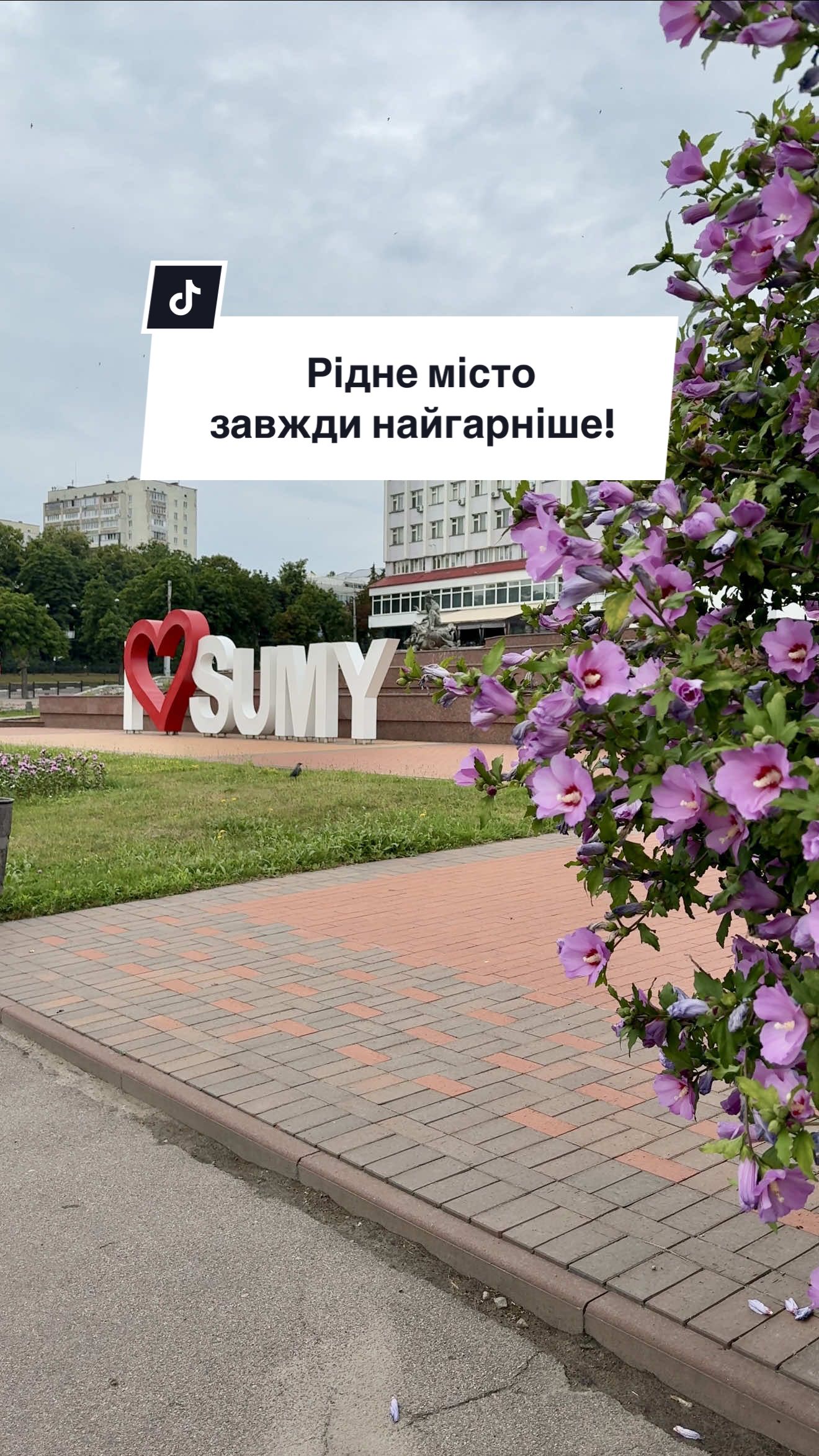 Наше місто — це не тільки будівлі, дерева чи дороги. Це атмосфера. Це дім, який розквітає навіть після найтемнішої ночі. Це краса, яку створюють не архітектори, а звичайні люди, які щодня дбають, прибирають, садять, поливають. Суми — це любов. Без пафосу. Просто. По-справжньому. #Суми #РіднеМісто #Зеленбуд