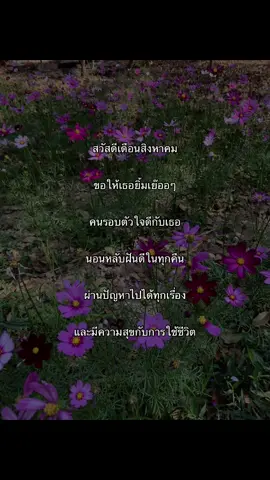 #สิงหาคม #เธรด #เธรดฮีลใจ 