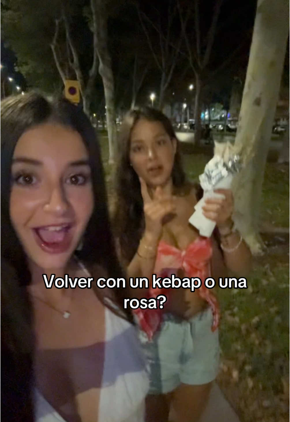 el duo dinámico 