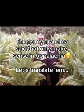 I grew up hearing these every day from my Mammaw, and I didn’t realize half the country had no idea what we were talkin’ about. #appalachia #appalachianmountains #appalachian #countrytalk #grandma #grandmawisdom #LIVEIncentiveProgram #LIVEIsEasy #PaidPartnership 