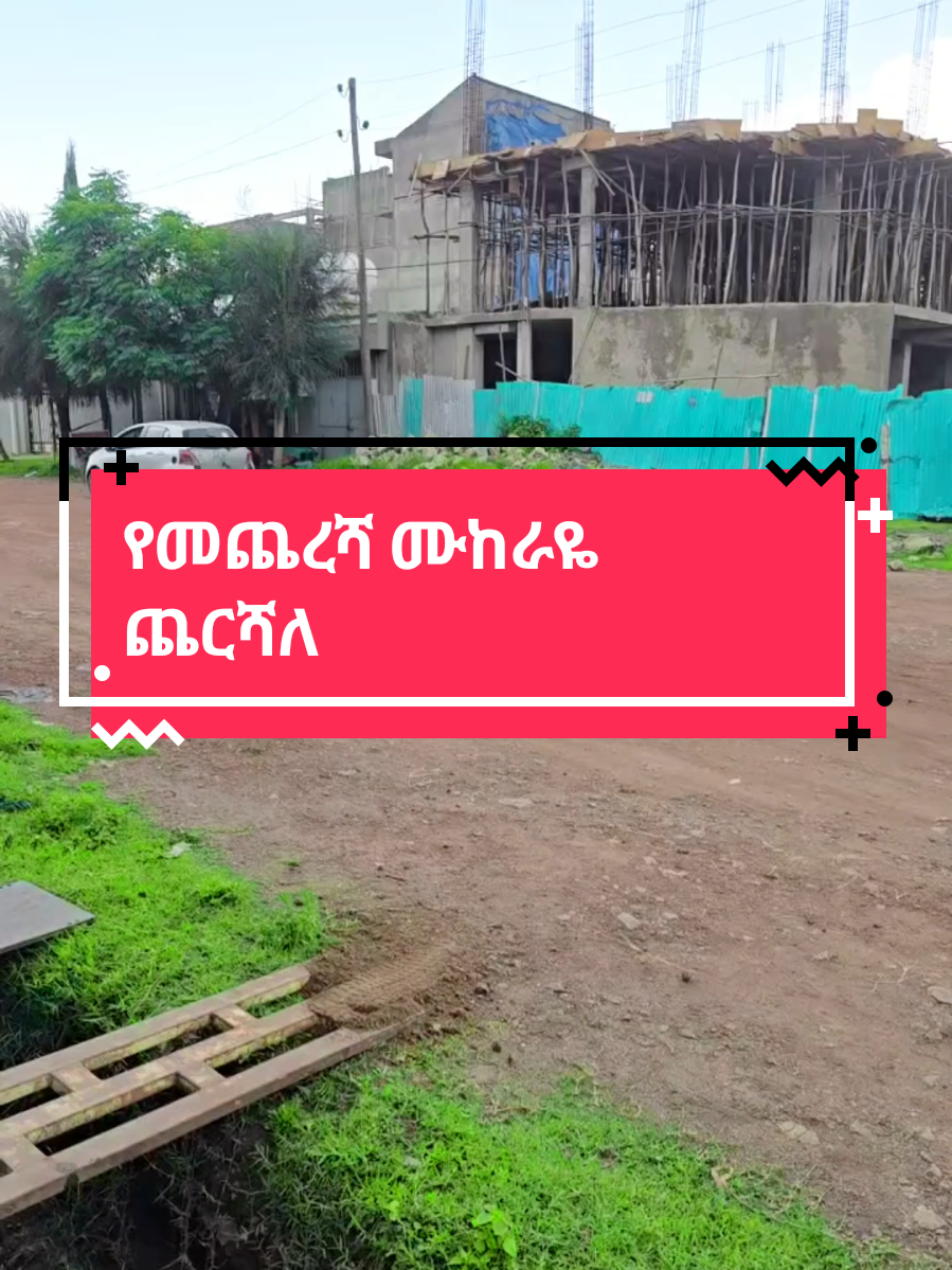 #creatorsearchinsights #ethiopian_tik_tok🇪🇹🇪🇹🇪🇹🇪🇹 #foryoupage #hab #fyp #creatorsearchinsights #habashatiktok🇪🇹 