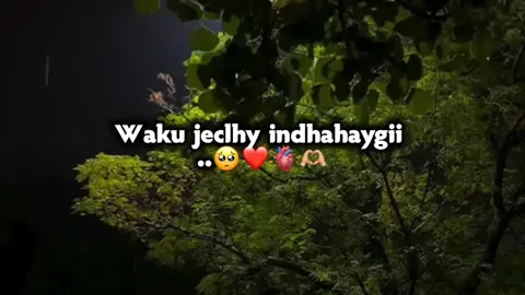 montion..😍💕#viewsproblem😭 #fypシ゚ 