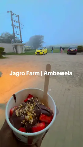 🍓Strawberry World #jagrofarmsrilanka #ambewela  #nuwaraeliya_srilanka 