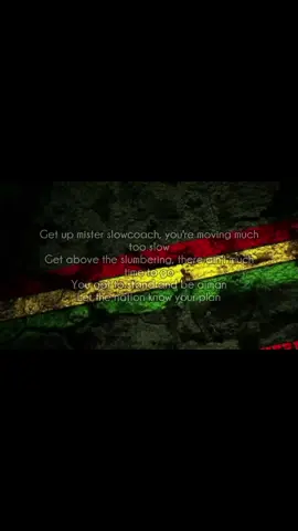 #roots 