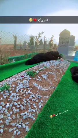 ئیدی نازا ناکەم ناز هەلگرا من  چو  دادیی گەلە زیبی 😭💔🕊️