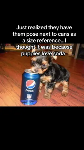 I thought maybe it was like a patriotic thing like they vibe with the soda idk man