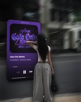 Gata Only (Remix) #foryoupage #musicvibes #lyrics 