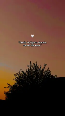 “Gelek berîya te kîrye..”🤍🫶🏻 #siyahaasik1kadinn #yaman_officiall47 #degelgülüm #kürtçeşarkılar 