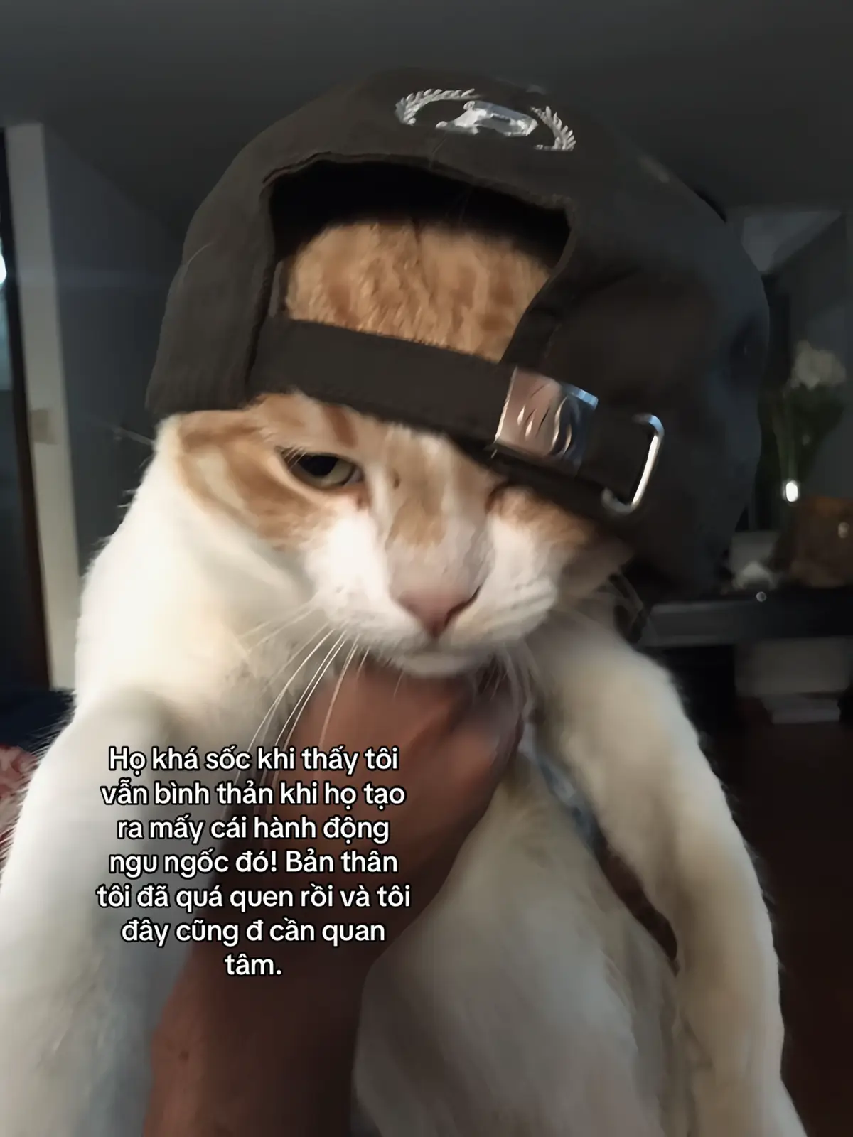 #CapCut #xhhhhhhhhhhhhhhhhhhhhhhh #xuhuongtiktok #ddnxuhuong #tiktokviral #tiktokawardsvn 