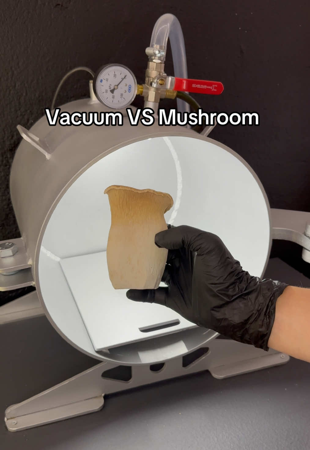Vacuum VS Mushroom, what’s next??? #science #fyp #vacuum #fakesituation 