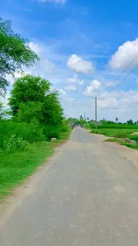 Jannat Numa Village #villagelife 