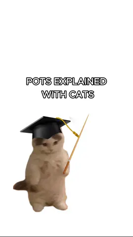Kitty has POTS! #cats #catsoftiktok #kittycats #kitties #sillycats #funnycats #POTS 