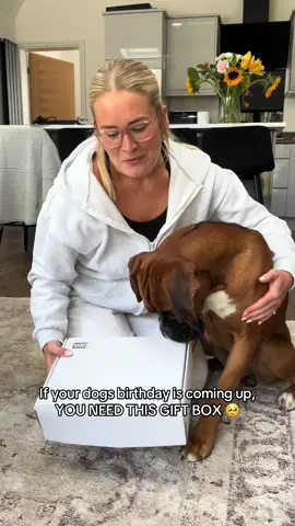 Promoting THE BEST birthday gift box for dogs 🥹  Guys if your dogs birthday is coming up you need to buy this. It is full of high quality treats, toys & accessories which will make your dogs birthday so special 🥳  The gift box is linked on this video 🫶🏼 Ad  #fyp #boxerdog #boxerdogsoftiktok #boxer #dogsoftiktok #dogproducts #doggifts #doggiftbox #dogtok #birthday #dogbirthday 
