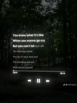 #CapCut 