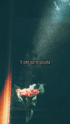 Cuando el amor duda, una palabra puede cambiarlo todo… 💔🎶 “Dime que me quieres” es ese grito del corazón que necesita certeza, cariño y una respuesta. #melodix #jeancarloscenteno #losdiablitosdelvallenato #vallenatosromanticos #vallenato #paradedicar #musica #song #letrasdecanciones 
