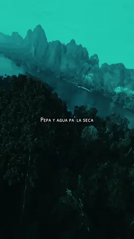 Pepas - #farruko #lyrics #musica 
